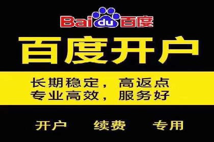 搜索开户返点揭秘：成功案例教你快速赚钱